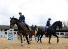 Reiter auf Polizeipferden